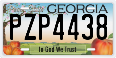GA license plate PZP4438