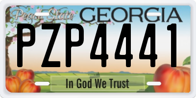 GA license plate PZP4441