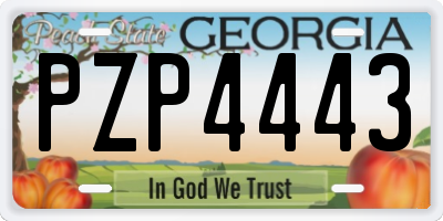 GA license plate PZP4443