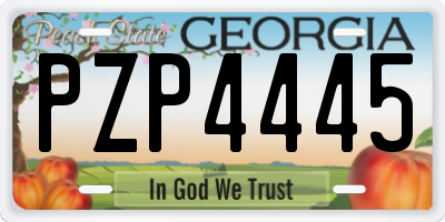GA license plate PZP4445