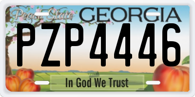GA license plate PZP4446