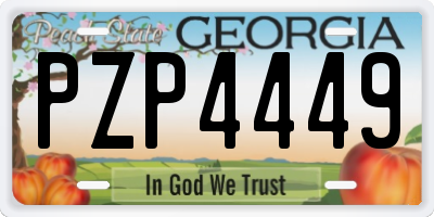 GA license plate PZP4449