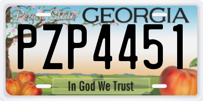 GA license plate PZP4451