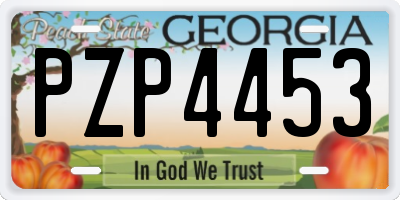 GA license plate PZP4453