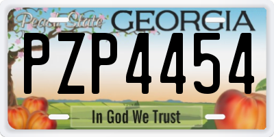 GA license plate PZP4454