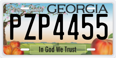 GA license plate PZP4455