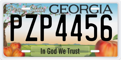 GA license plate PZP4456