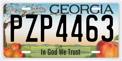 GA license plate PZP4463