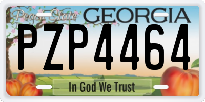 GA license plate PZP4464