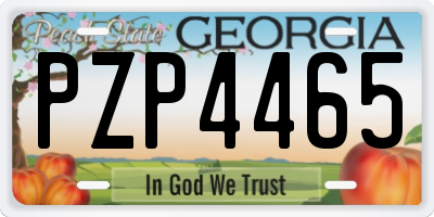 GA license plate PZP4465