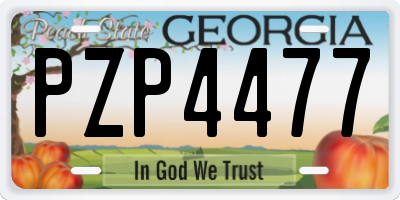 GA license plate PZP4477