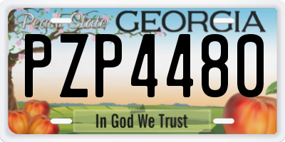 GA license plate PZP4480