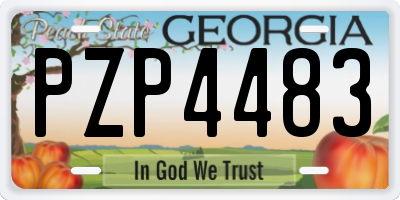 GA license plate PZP4483