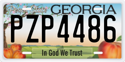 GA license plate PZP4486
