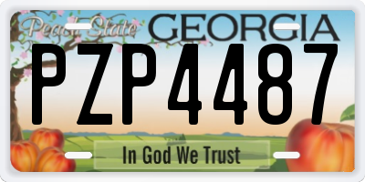 GA license plate PZP4487