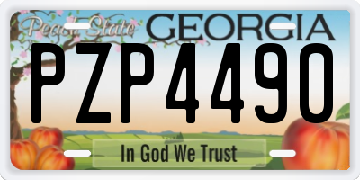 GA license plate PZP4490