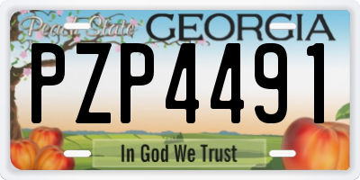 GA license plate PZP4491