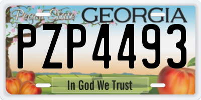 GA license plate PZP4493