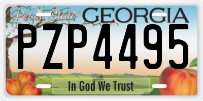 GA license plate PZP4495