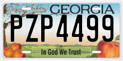 GA license plate PZP4499