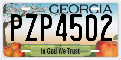 GA license plate PZP4502