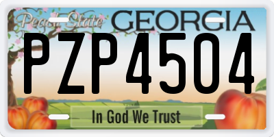 GA license plate PZP4504