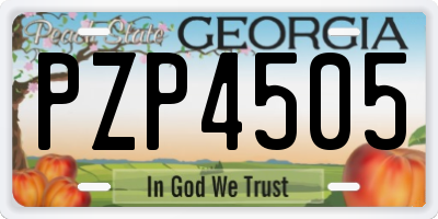 GA license plate PZP4505