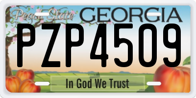 GA license plate PZP4509