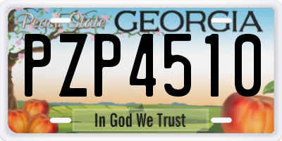 GA license plate PZP4510