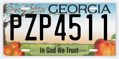GA license plate PZP4511