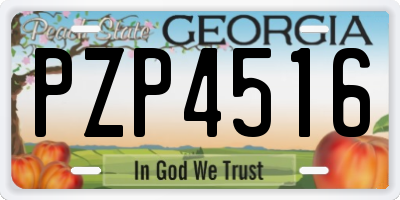 GA license plate PZP4516