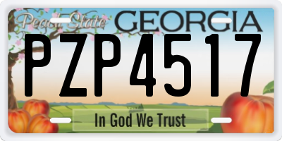 GA license plate PZP4517