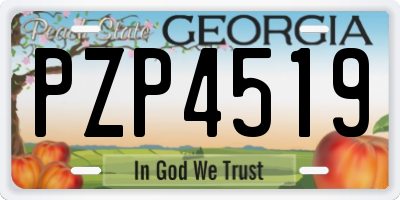 GA license plate PZP4519