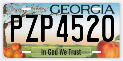 GA license plate PZP4520