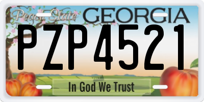 GA license plate PZP4521