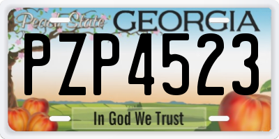 GA license plate PZP4523