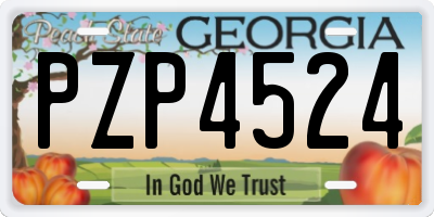 GA license plate PZP4524