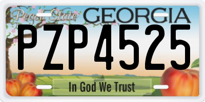 GA license plate PZP4525