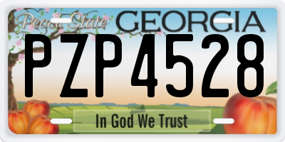 GA license plate PZP4528