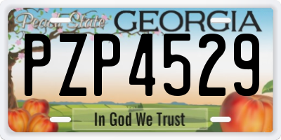 GA license plate PZP4529