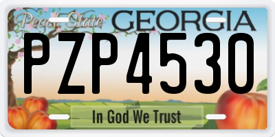 GA license plate PZP4530