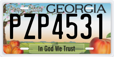 GA license plate PZP4531