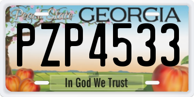 GA license plate PZP4533
