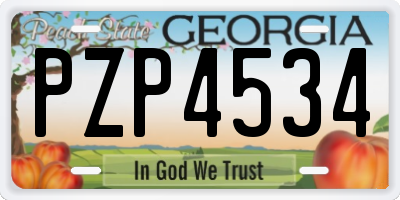 GA license plate PZP4534