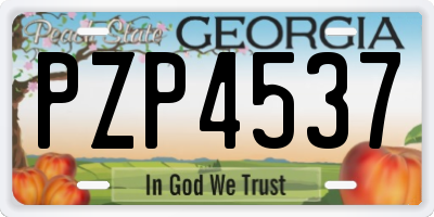 GA license plate PZP4537