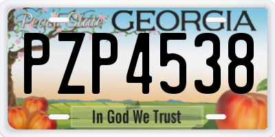 GA license plate PZP4538