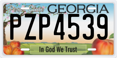 GA license plate PZP4539
