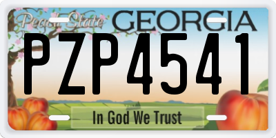 GA license plate PZP4541