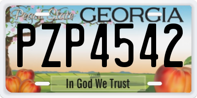 GA license plate PZP4542