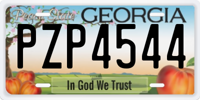 GA license plate PZP4544